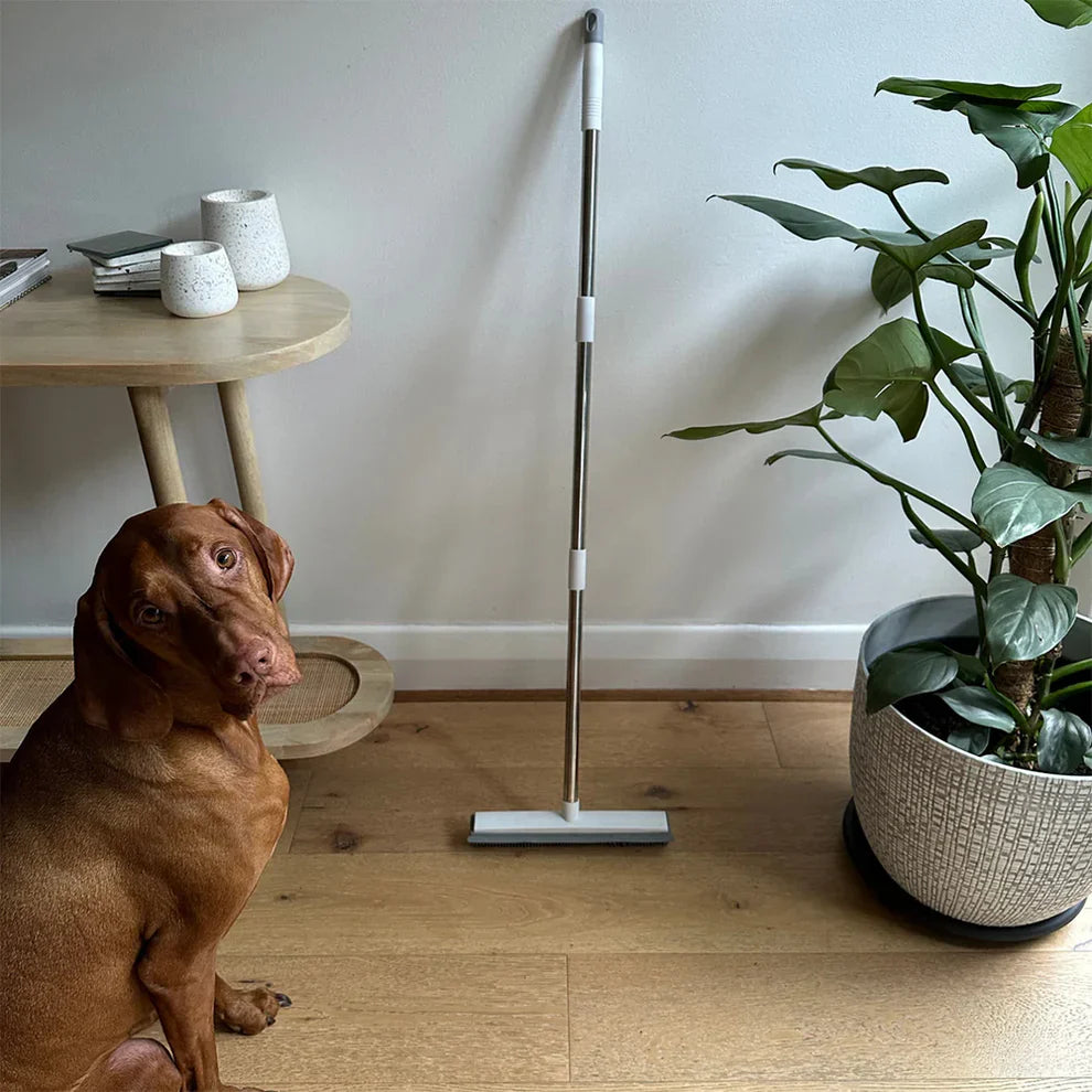 Sticky - Hair Removal Broom
